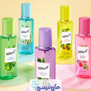 بادی اسپلش چیست