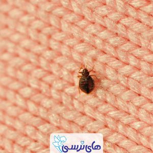 مسمومیت با سموم حشره کش