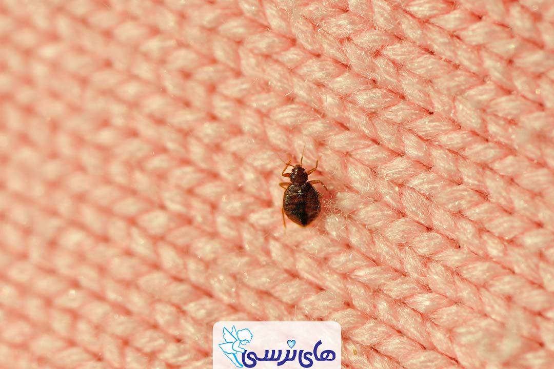 مسمومیت با سموم حشره کش