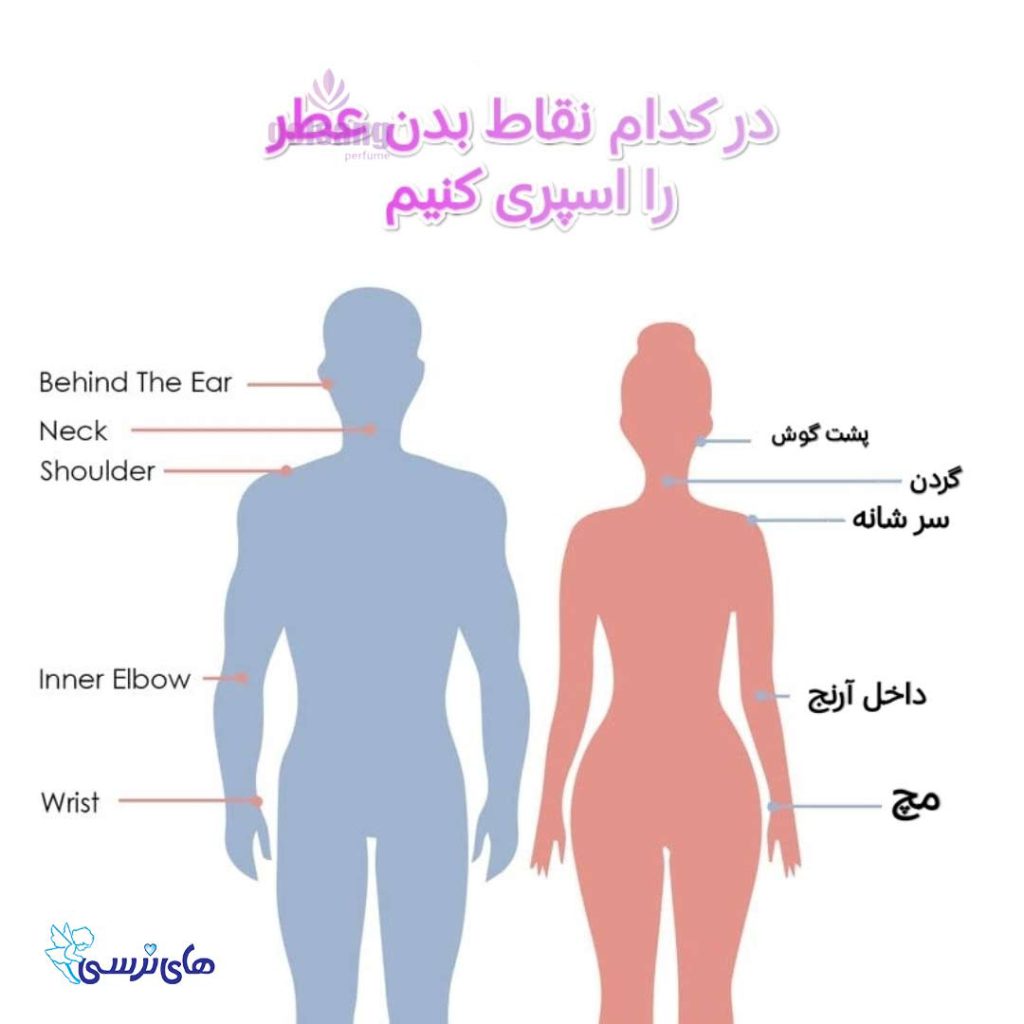 نقاط مختلف بدن برای ادکلن